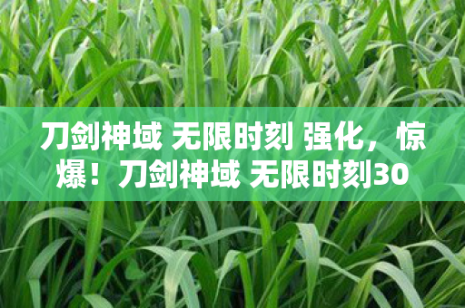 刀剑神域 无限时刻 强化,惊爆!刀剑神域 无限时刻3000万隐情曝光,这操作真让人吓一跳! 刀剑神域 无限时刻 强化,惊爆!刀剑神域 无限时刻3000万隐情曝光,这操作真让人吓一跳!