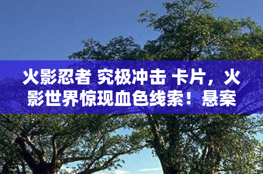 火影忍者 究极冲击 卡片，火影世界惊现血色线索！悬案未解，毛骨悚然之谜困我十年
