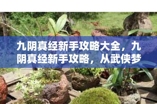 九阴真经新手攻略大全,九阴真经新手攻略,从武侠梦到氪金地狱的落差真相,笑着笑着哭了 九阴真经新手攻略大全,九阴真经新手攻略,从武侠梦到氪金地狱的落差真相,笑着笑着哭了