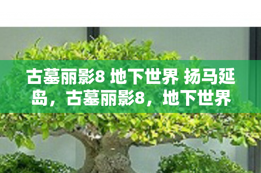 古墓丽影8 地下世界 扬马延岛，古墓丽影8，地下世界蹊跷大变！老粉直呼爷青结