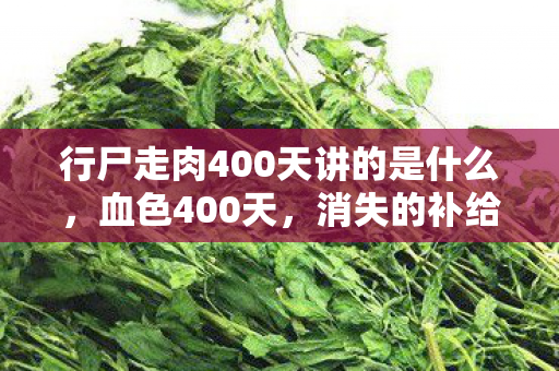 行尸走肉400天讲的是什么,血色400天,消失的补给车暗藏悬案,真相令人毛骨悚然 行尸走肉400天讲的是什么,血色400天,消失的补给车暗藏悬案,真相令人毛骨悚然