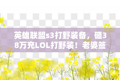 英雄联盟s3打野装备,砸38万充LOL打野装!老婆签离婚协议时,我才知这钱能买套房! 英雄联盟s3打野装备,砸38万充LOL打野装!老婆签离婚协议时,我才知这钱能买套房!
