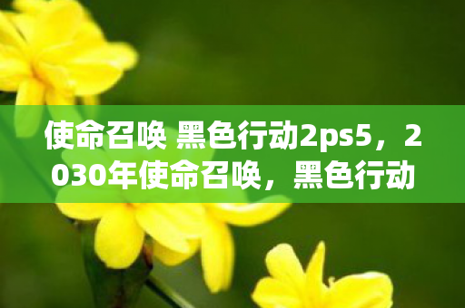 使命召唤 黑色行动2ps5，2030年使命召唤，黑色行动2血色谜局，悬案背后毛骨悚然真相