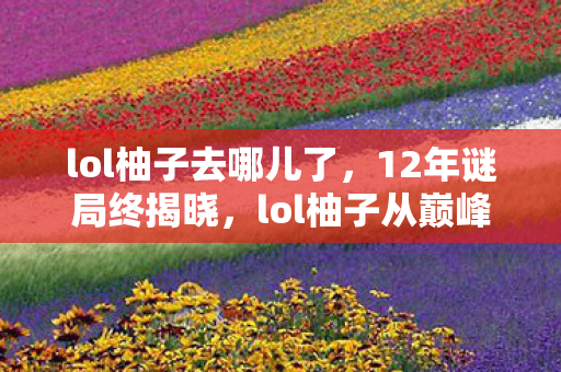 lol柚子去哪儿了，12年谜局终揭晓，lol柚子从巅峰到隐退，泪目真相竟藏于此