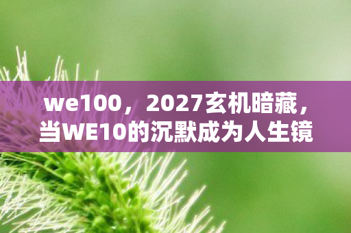 we100,2027玄机暗藏,当WE10的沉默成为人生镜像,我们究竟失去了什么? we100,2027玄机暗藏,当WE10的沉默成为人生镜像,我们究竟失去了什么?