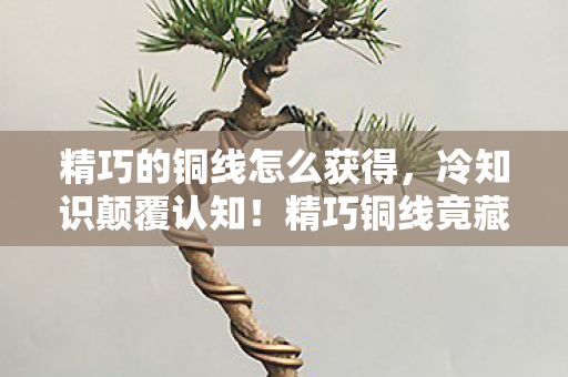 精巧的铜线怎么获得,冷知识颠覆认知!精巧铜线竟藏着十年老玩家目瞪口呆的秘密 精巧的铜线怎么获得,冷知识颠覆认知!精巧铜线竟藏着十年老玩家目瞪口呆的秘密
