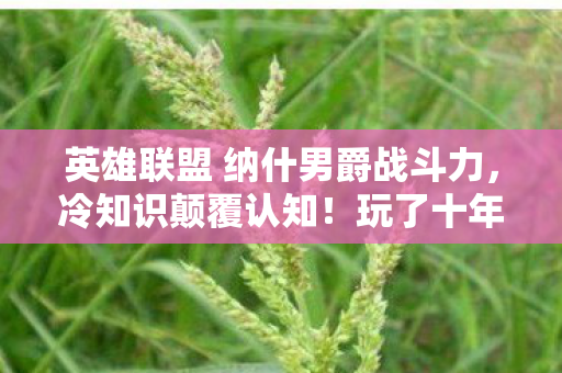 英雄联盟 纳什男爵战斗力,冷知识颠覆认知!玩了十年英雄联盟,纳什男爵竟让我目瞪口呆! 英雄联盟 纳什男爵战斗力,冷知识颠覆认知!玩了十年英雄联盟,纳什男爵竟让我目瞪口呆!