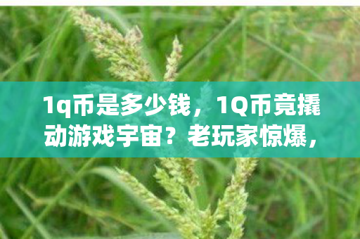 1q币是多少钱,1Q币竟撬动游戏宇宙?老玩家惊爆,退坑3年又真香! 1q币是多少钱,1Q币竟撬动游戏宇宙?老玩家惊爆,退坑3年又真香!