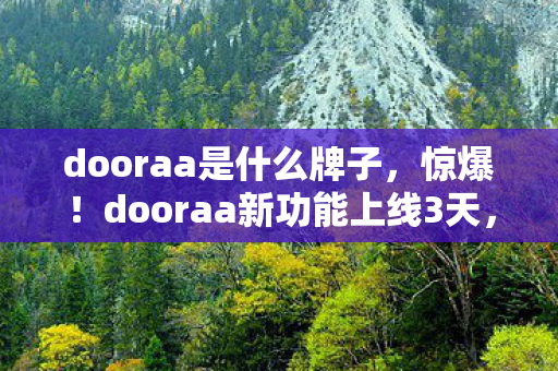 dooraa是什么牌子，惊爆！dooraa新功能上线3天，10万用户直呼不敢信！