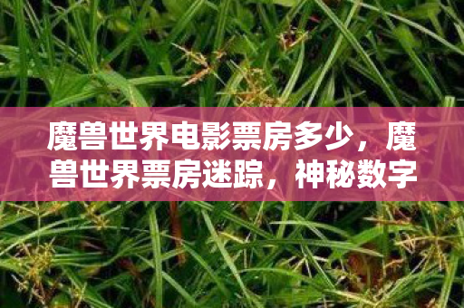 魔兽世界电影票房多少，魔兽世界票房迷踪，神秘数字悬案，毛骨悚然真相待揭
