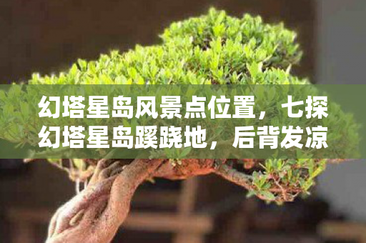 幻塔星岛风景点位置，七探幻塔星岛蹊跷地，后背发凉，十年逃亡终是梦？
