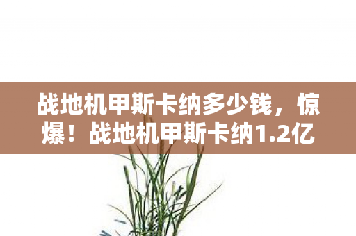 战地机甲斯卡纳多少钱,惊爆!战地机甲斯卡纳1.2亿项目隐情曝光,真相让人吓一跳! 战地机甲斯卡纳多少钱,惊爆!战地机甲斯卡纳1.2亿项目隐情曝光,真相让人吓一跳!