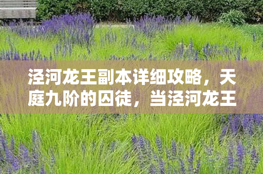 泾河龙王副本详细攻略，天庭九阶的囚徒，当泾河龙王副本撕碎自由意志的虚伪面纱