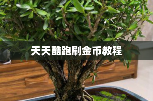 天天酷跑刷金币教程 天天酷跑刷金币教程