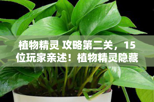 植物精灵 攻略第二关，15位玩家亲述！植物精灵隐藏关卡疑点，大神都绷不住的真相