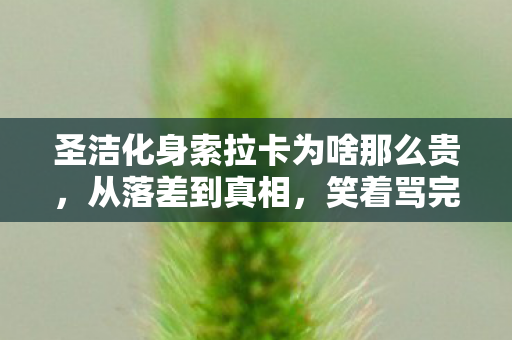 圣洁化身索拉卡为啥那么贵，从落差到真相，笑着骂完英雄联盟，笑着笑着哭了