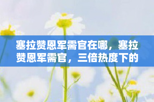 塞拉赞恩军需官在哪，塞拉赞恩军需官，三倍热度下的疑云密布，玩家心寒谁之过？