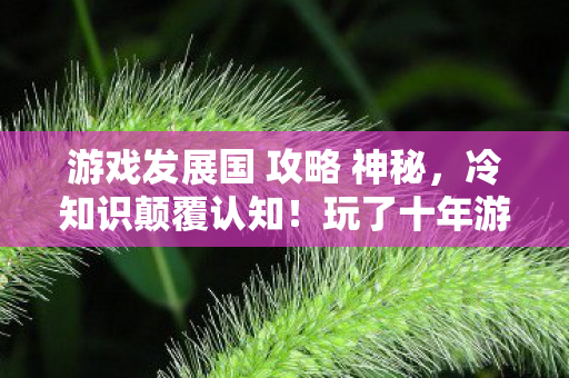 游戏发展国 攻略 神秘,冷知识颠覆认知!玩了十年游戏发展国的我竟目瞪口呆 游戏发展国 攻略 神秘,冷知识颠覆认知!玩了十年游戏发展国的我竟目瞪口呆