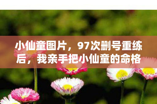 小仙童图片,97次删号重练后,我亲手把小仙童的命格改成了永寂 小仙童图片,97次删号重练后,我亲手把小仙童的命格改成了永寂