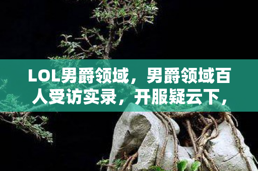 LOL男爵领域,男爵领域百人受访实录,开服疑云下,那些在网吧绷不住的灵魂 LOL男爵领域,男爵领域百人受访实录,开服疑云下,那些在网吧绷不住的灵魂