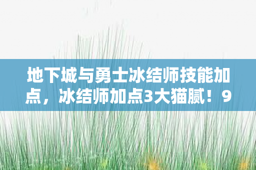 地下城与勇士冰结师技能加点，冰结师加点3大猫腻！99%玩家被坑到上头还嘴硬