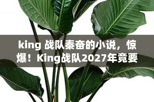 king 战队秦奋的小说,惊爆!King战队2027年竟要挑战10连冠?背后真相令人窒息! king 战队秦奋的小说,惊爆!King战队2027年竟要挑战10连冠?背后真相令人窒息!