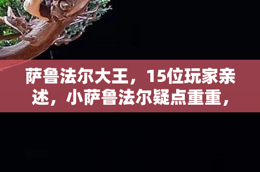 萨鲁法尔大王，15位玩家亲述，小萨鲁法尔疑点重重，这谁能绷得住啊！