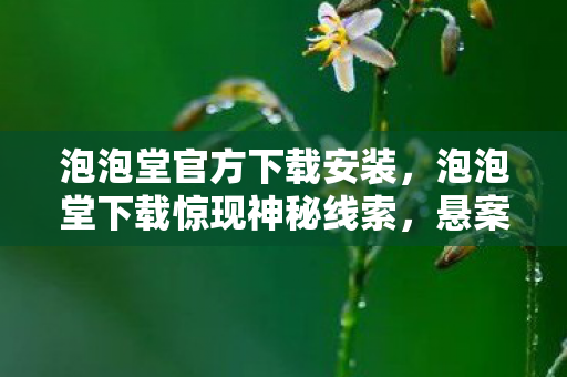 泡泡堂官方下载安装,泡泡堂下载惊现神秘线索,悬案背后,毛骨悚然的真相等你揭开! 泡泡堂官方下载安装,泡泡堂下载惊现神秘线索,悬案背后,毛骨悚然的真相等你揭开!