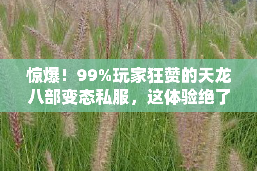 惊爆！99%玩家狂赞的天龙八部变态私服，这体验绝了！