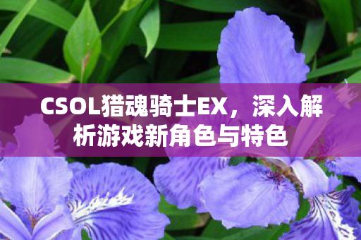CSOL猎魂骑士EX，深入解析游戏新角色与特色