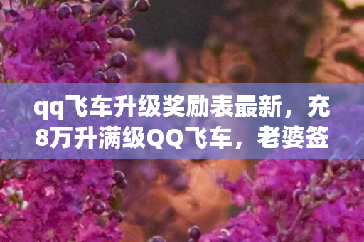 qq飞车升级奖励表最新,充8万升满级QQ飞车,老婆签离婚协议那晚,我才知钱是命根子! qq飞车升级奖励表最新,充8万升满级QQ飞车,老婆签离婚协议那晚,我才知钱是命根子!