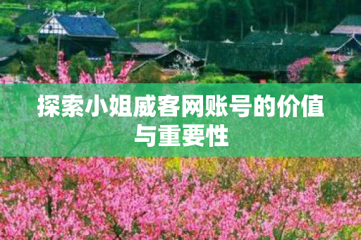 探索小姐威客网账号的价值与重要性