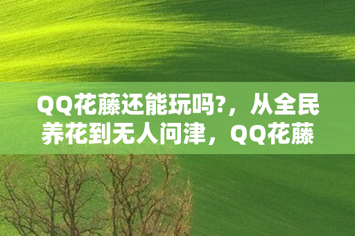 QQ花藤还能玩吗?，从全民养花到无人问津，QQ花藤落差真相，笑着笑着就哭了
