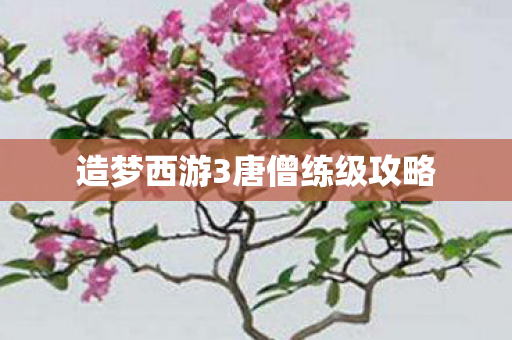 造梦西游3唐僧练级攻略 造梦西游3唐僧练级攻略