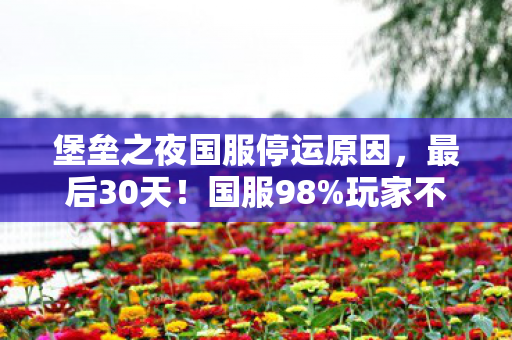 堡垒之夜国服停运原因,最后30天!国服98%玩家不知道的保命技巧,却藏着千万人退坑的真相? 堡垒之夜国服停运原因,最后30天!国服98%玩家不知道的保命技巧,却藏着千万人退坑的真相?