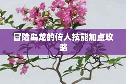 冒险岛龙的传人技能加点攻略 冒险岛龙的传人技能加点攻略