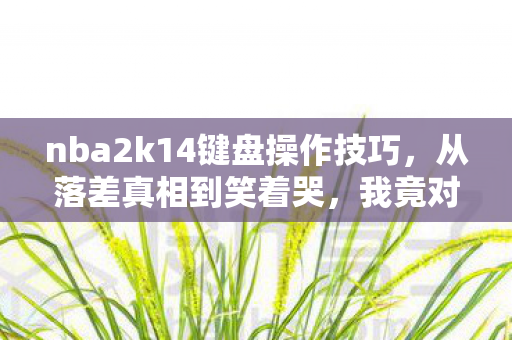 nba2k14键盘操作技巧,从落差真相到笑着哭,我竟对NBA2K14键盘操作如此痴迷 nba2k14键盘操作技巧,从落差真相到笑着哭,我竟对NBA2K14键盘操作如此痴迷