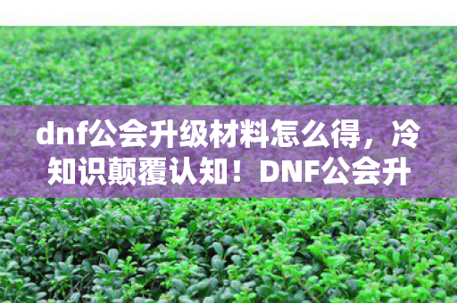 dnf公会升级材料怎么得,冷知识颠覆认知!DNF公会升级竟藏着目瞪口呆的十年谎言 dnf公会升级材料怎么得,冷知识颠覆认知!DNF公会升级竟藏着目瞪口呆的十年谎言