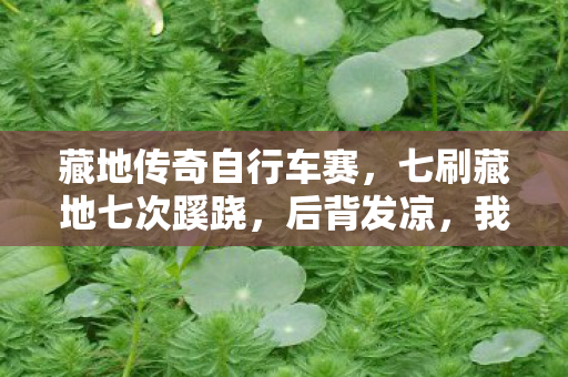 藏地传奇自行车赛,七刷藏地七次蹊跷,后背发凉,我竟是策划案板上的鱼! 藏地传奇自行车赛,七刷藏地七次蹊跷,后背发凉,我竟是策划案板上的鱼!