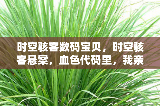时空骇客数码宝贝,时空骇客悬案,血色代码里,我亲手埋葬自己的毛骨悚然真相 时空骇客数码宝贝,时空骇客悬案,血色代码里,我亲手埋葬自己的毛骨悚然真相