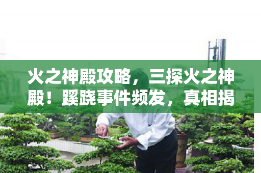 火之神殿攻略,三探火之神殿!蹊跷事件频发,真相揭晓时让人后背发凉 火之神殿攻略,三探火之神殿!蹊跷事件频发,真相揭晓时让人后背发凉