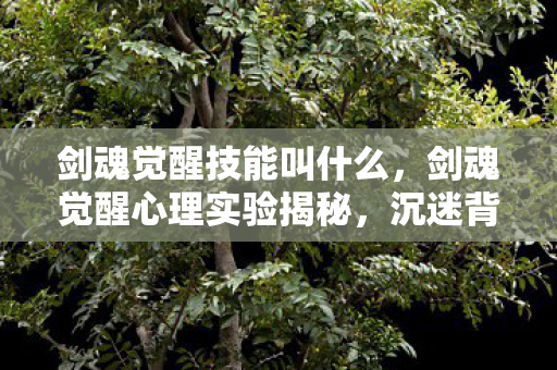 剑魂觉醒技能叫什么，剑魂觉醒心理实验揭秘，沉迷背后的多巴胺陷阱，细思极恐！