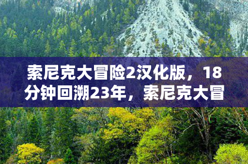索尼克大冒险2汉化版，18分钟回溯23年，索尼克大冒险2的齿轮为何仍在转动？泪目真相在此
