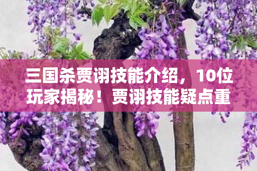 三国杀贾诩技能介绍,10位玩家揭秘!贾诩技能疑点重重,这操作谁能绷得住? 三国杀贾诩技能介绍,10位玩家揭秘!贾诩技能疑点重重,这操作谁能绷得住?