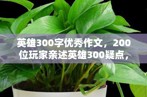 英雄300字优秀作文,200位玩家亲述英雄300疑点,老炮听后当场绷不住! 英雄300字优秀作文,200位玩家亲述英雄300疑点,老炮听后当场绷不住!