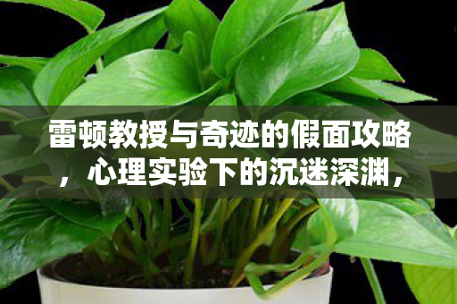 雷顿教授与奇迹的假面攻略,心理实验下的沉迷深渊,雷顿教授与奇迹的假面细思极恐的自我麻醉 雷顿教授与奇迹的假面攻略,心理实验下的沉迷深渊,雷顿教授与奇迹的假面细思极恐的自我麻醉