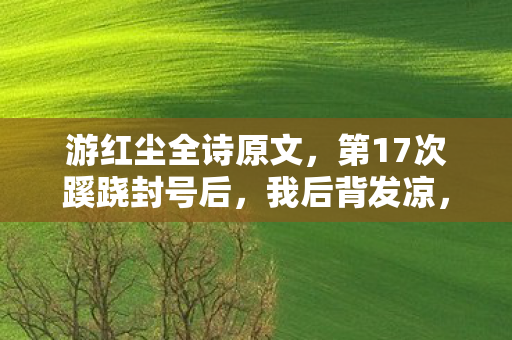 游红尘全诗原文，第17次蹊跷封号后，我后背发凉，原来我才是被游戏玩透的NPC