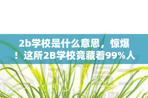 2b学校是什么意思,惊爆!这所2B学校竟藏着99%人不知的逆袭密码? 2b学校是什么意思,惊爆!这所2B学校竟藏着99%人不知的逆袭密码?