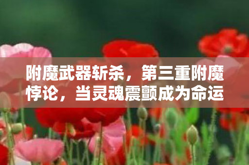 附魔武器斩杀,第三重附魔悖论,当灵魂震颤成为命运枷锁,自由意志是否只是程序代码? 附魔武器斩杀,第三重附魔悖论,当灵魂震颤成为命运枷锁,自由意志是否只是程序代码?