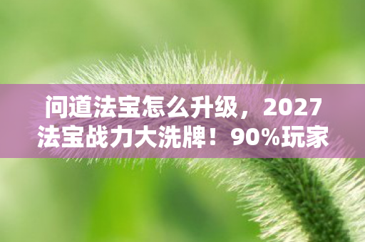 问道法宝怎么升级，2027法宝战力大洗牌！90%玩家错过的3大逆天心得，错过再等十年